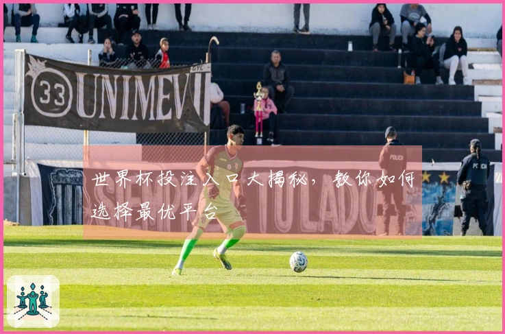 世界杯投注入口大揭秘，教你如何选择最优平台