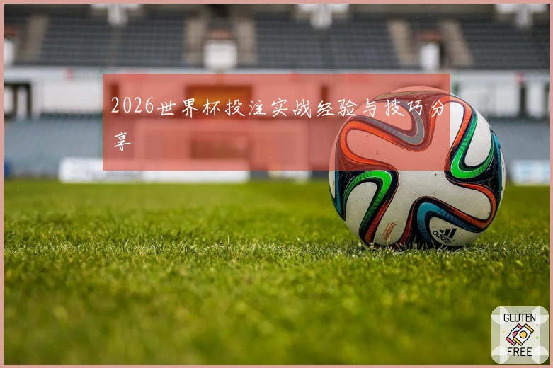 2026世界杯投注实战经验与技巧分享