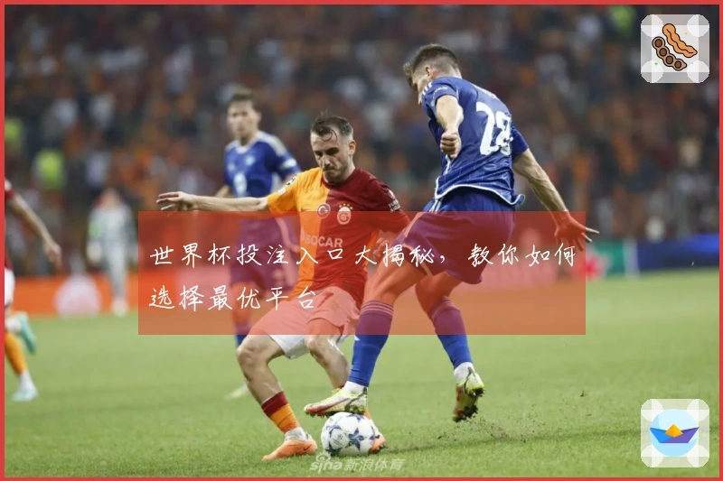 世界杯投注入口大揭秘，教你如何选择最优平台