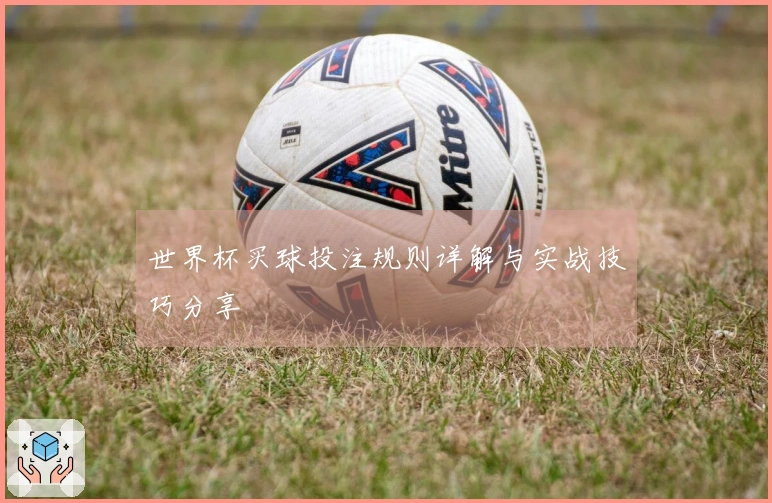 世界杯买球投注规则详解与实战技巧分享