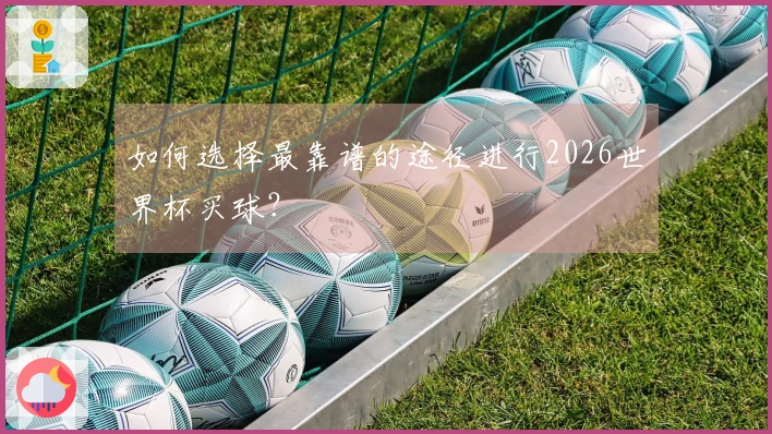 如何选择最靠谱的途径进行2026世界杯买球？