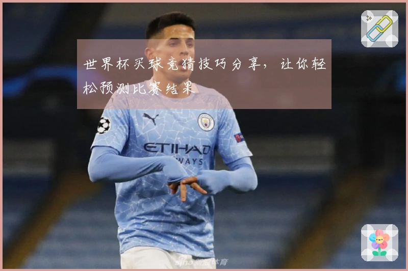 世界杯买球竞猜技巧分享，让你轻松预测比赛结果