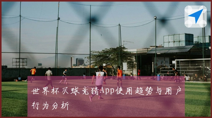 世界杯买球竞猜App使用趋势与用户行为分析