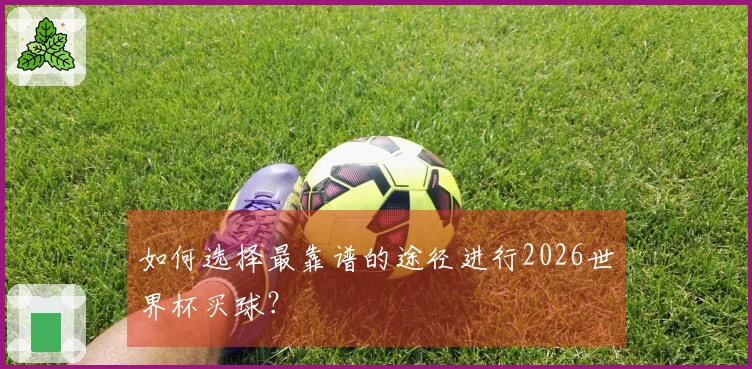 如何选择最靠谱的途径进行2026世界杯买球？